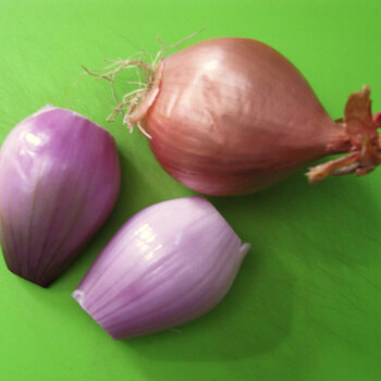 Shallots