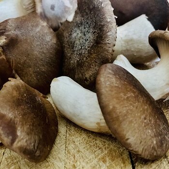 Cardoncelli Mushrooms.jpeg