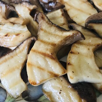 Grilled Cardoncelli Mushrooms.jpeg