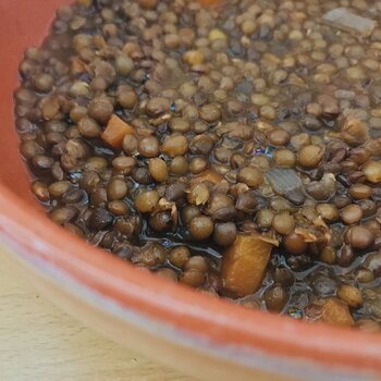 Brown Lentil Soup.jpeg