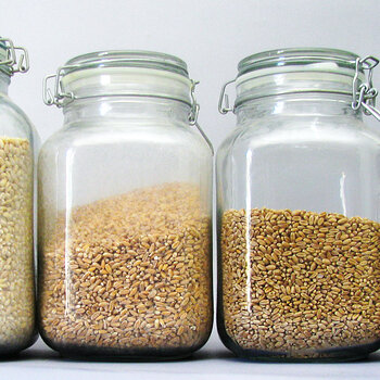 Grains - Barley, Brown Rice, Farro Perlato and Rice Blend