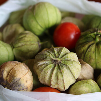 Tomatillos s.jpg