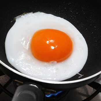 Fried duck egg s.jpg