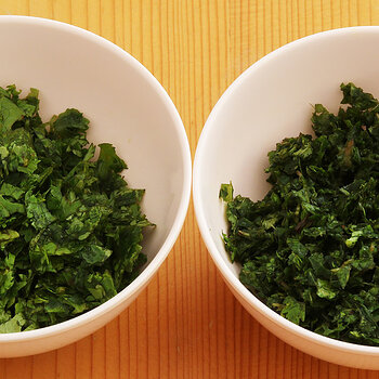 Mint and coriander s.jpg
