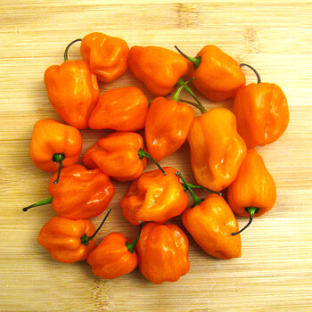 Habanero Peppers