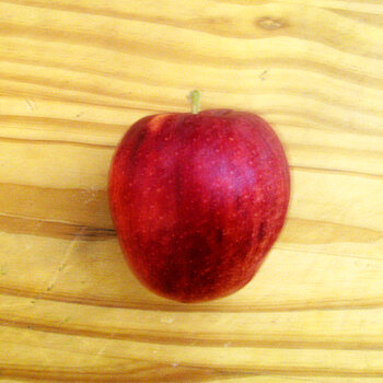 Gala Apple