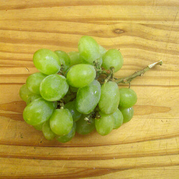 Green Seedless Grapes