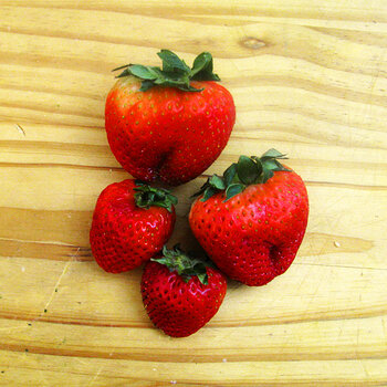 Strawberries