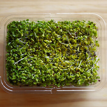 Broccoli Sprouts