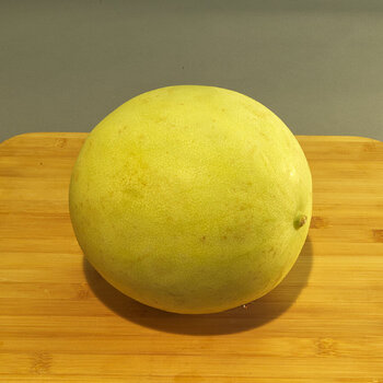 Honeydew Melon