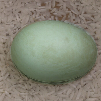 Blue duck egg s.jpg