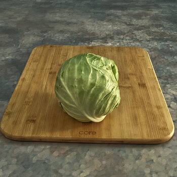 Cabbage