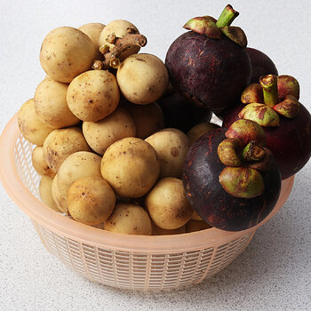 Mangosteen s.jpg