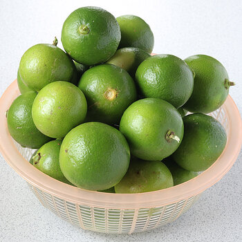Limes s.jpg