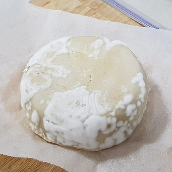 Vegan Camembert - day 05