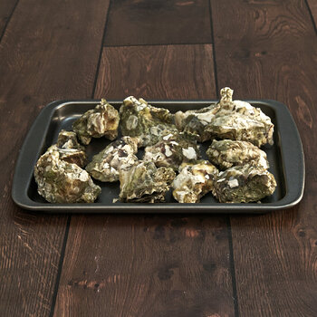 Kumamoto Oysters