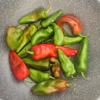 Friggitelli Italian Long Peppers.jpeg
