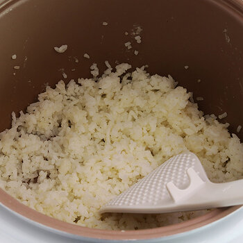 cooked rice s.jpg