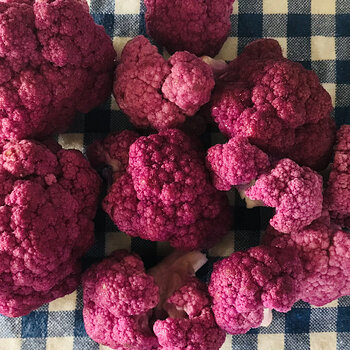 Raw Purple Cauliflowers.jpeg