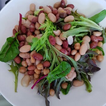 Mixed bean salad