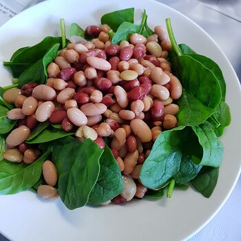 5 bean salad