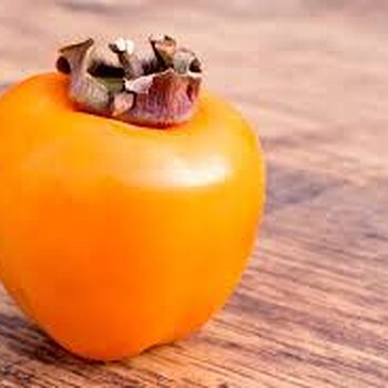 Fuju Persimmon .jpeg