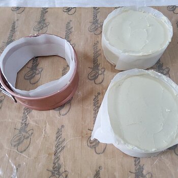 lining the 3" springform tins