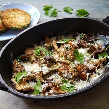 Mushroom Medley with toasted Sourdough