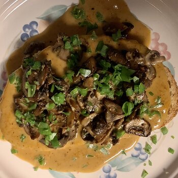 Bistro Mushrooms Over Welsh Rarebit