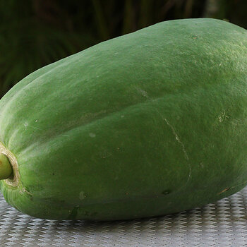 Papaya s.jpg