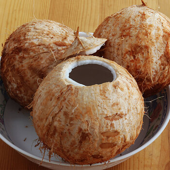 Coconuts s.jpg