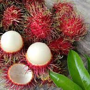 rambutans.jpg