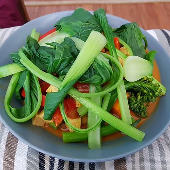 15 minute vegetable curry