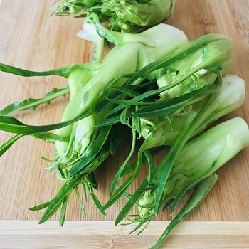 Puntarelle.jpeg