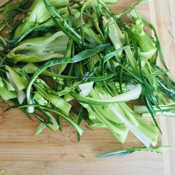 Sliced Puntarelle.jpeg