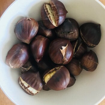 Roasted Chestnuts.jpeg