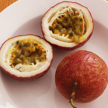 Passion fruit s.jpg