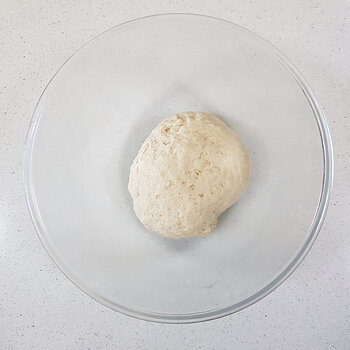 Dough before Proofing
