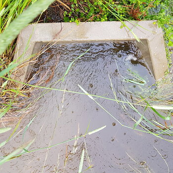 upstream