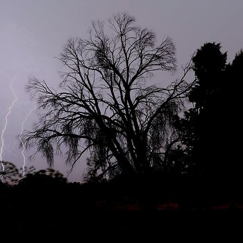 Storm