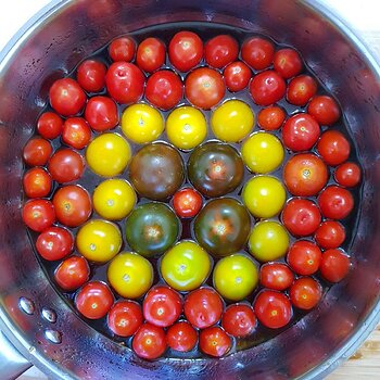 Tomatoes in the pan