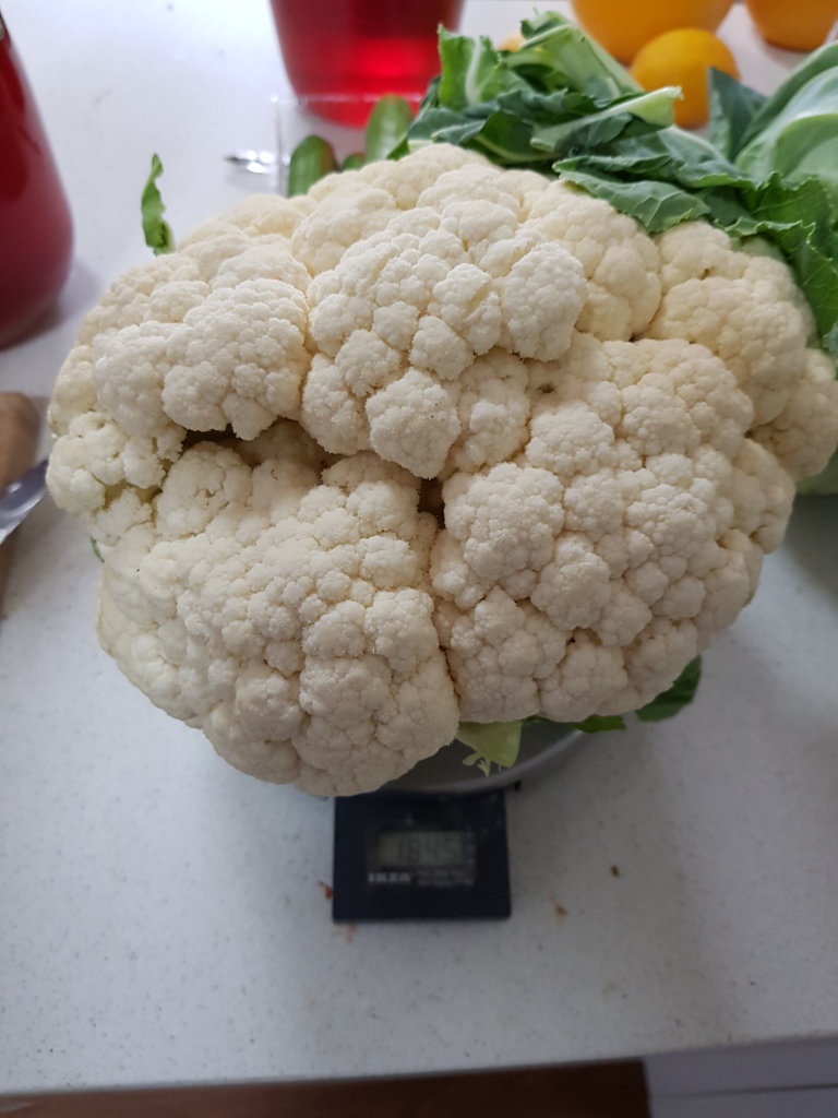1.8kg Cauliflower