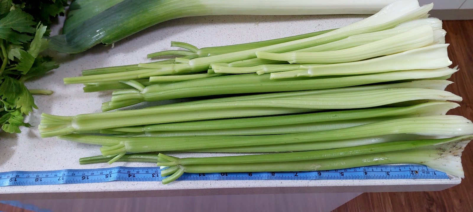 1 head of celery, trimmed