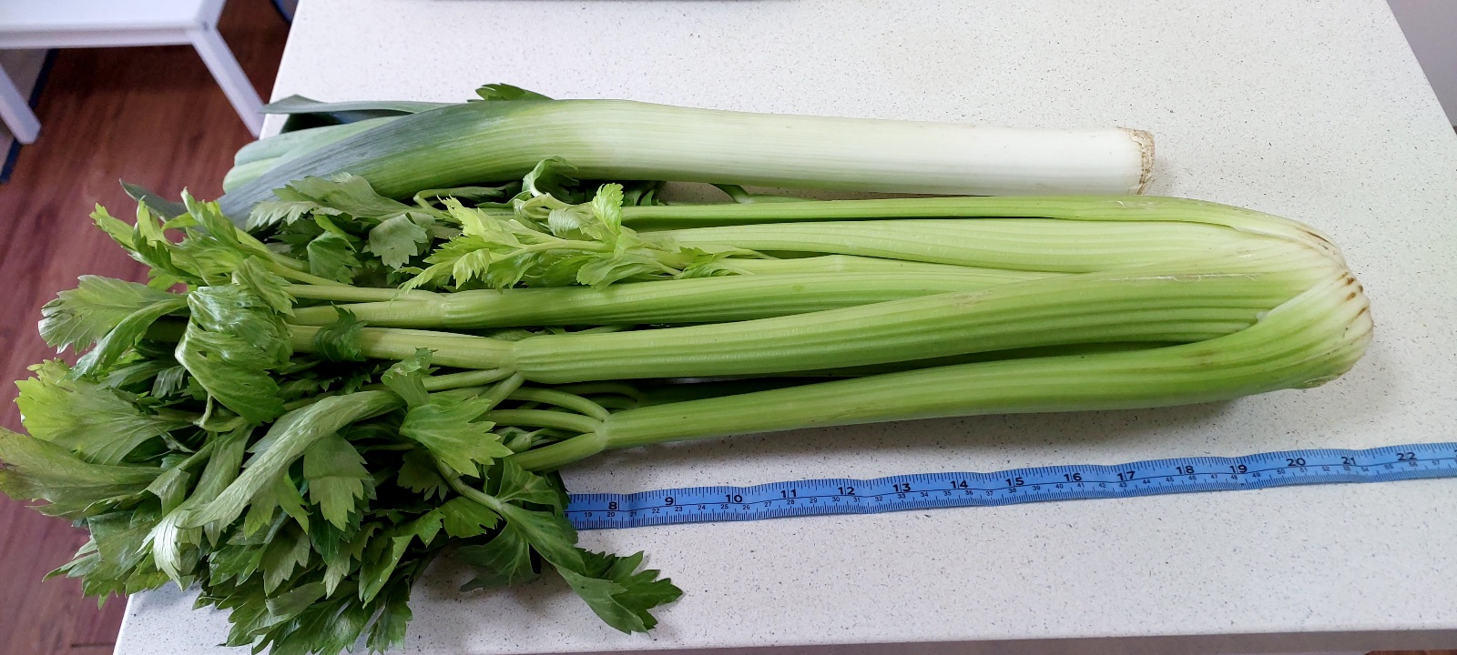 1 head of celery