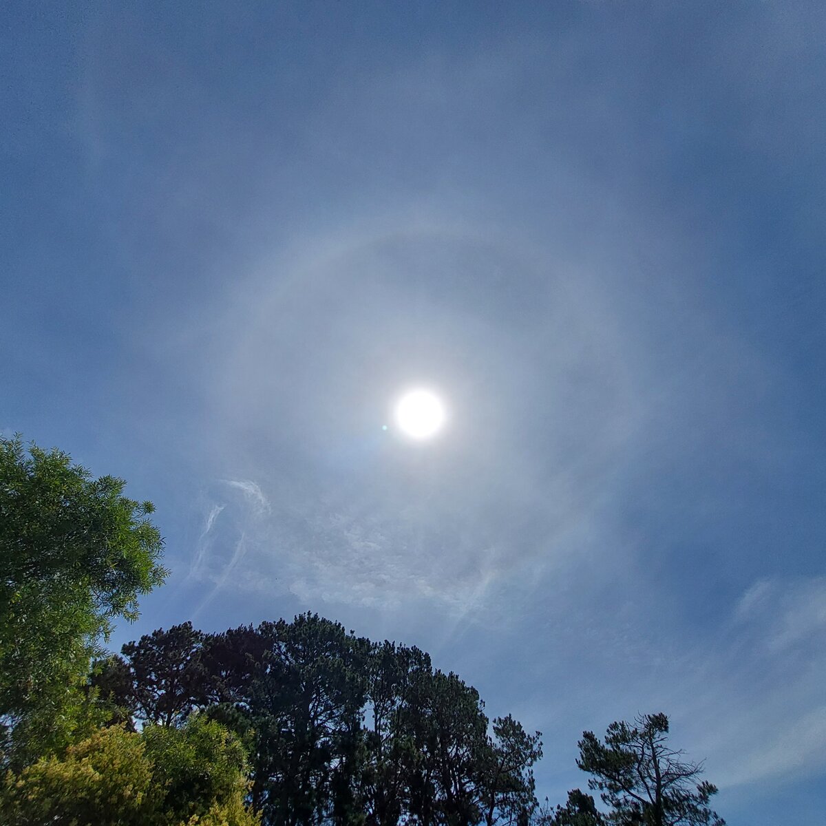 360° Sunhalo