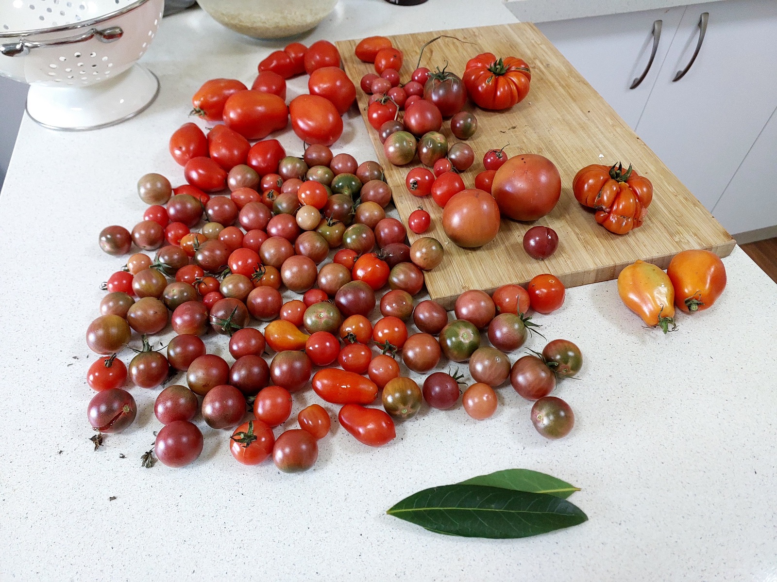 3kg Home grown tomatoes