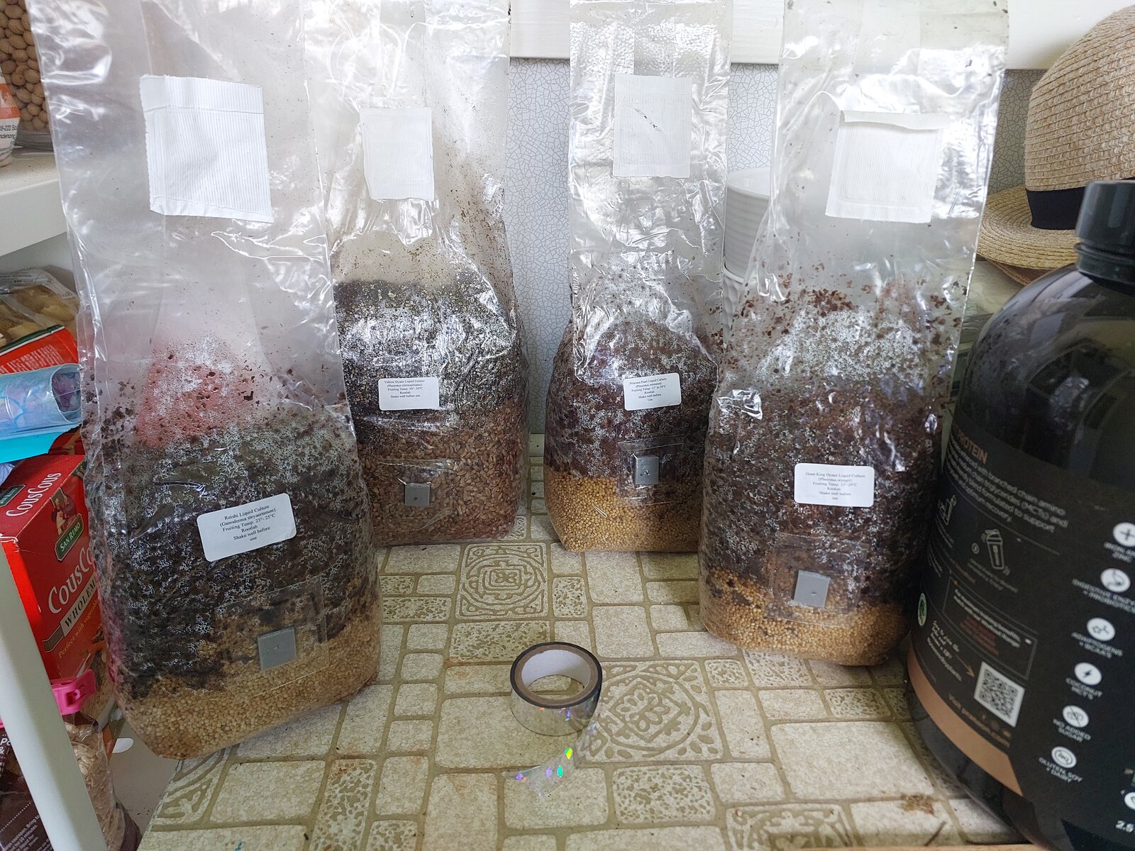 4 varieties of mushrooms