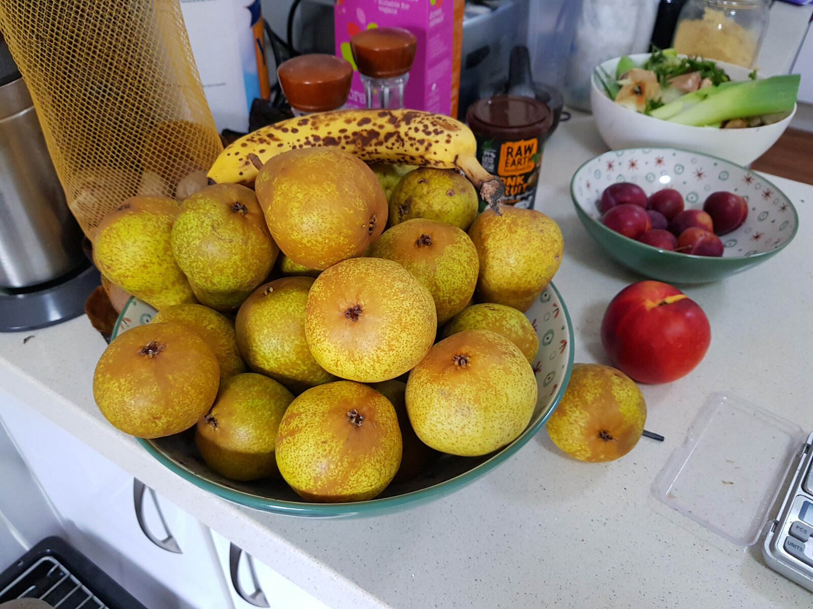 A few ripening pears