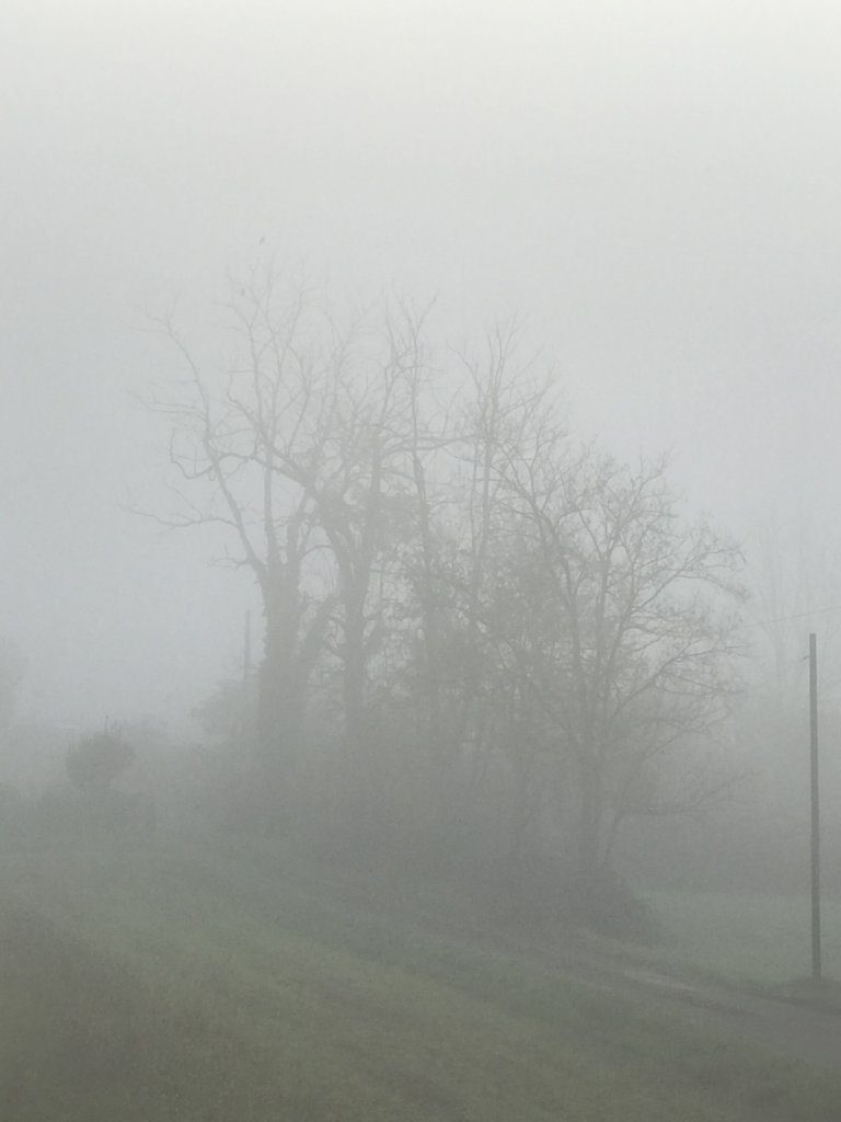 A foggy early morning.jpeg