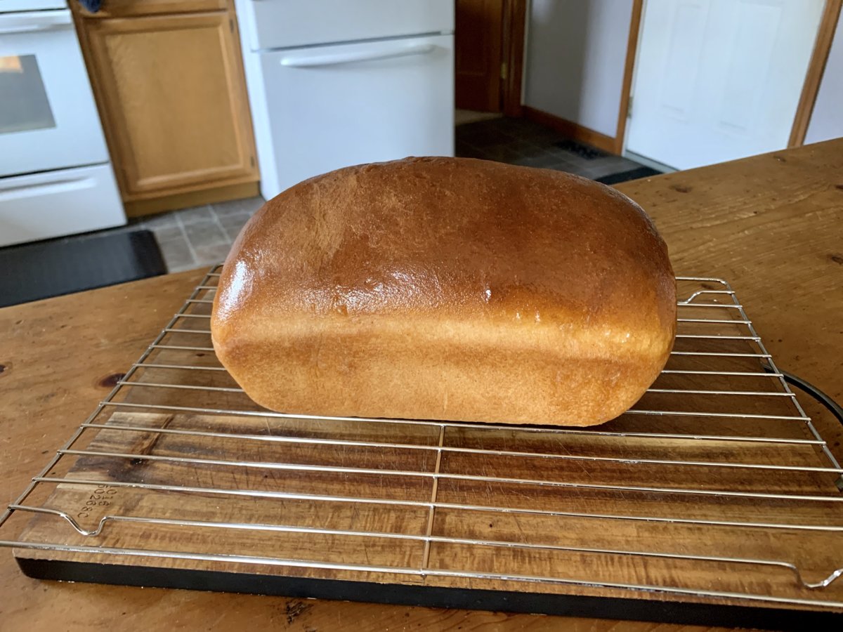Amish Buttermilk-Sorghum Bread